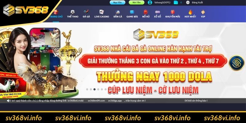 Những điều cần lưu ý khi tải SV368