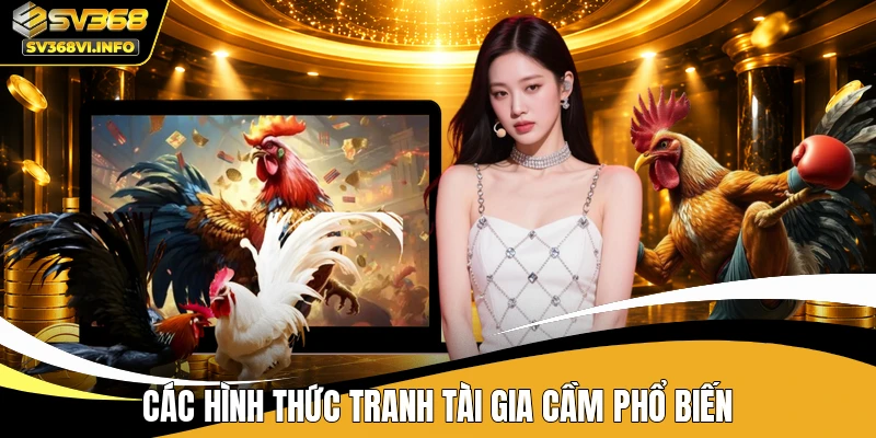 Các hình thức tranh tài gia cầm phổ biến