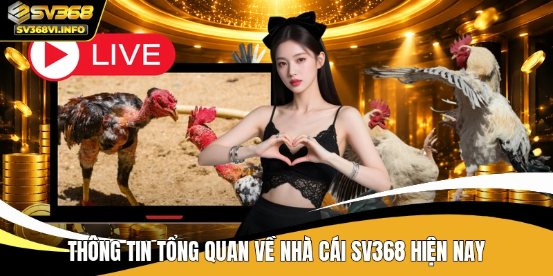 Thông tin tổng quan về nhà cái SV368 hiện nay