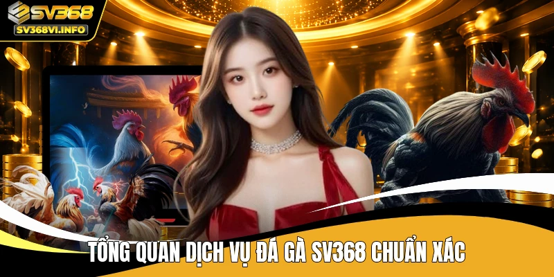 Tổng quan dịch vụ đá gà SV368 chuẩn xác